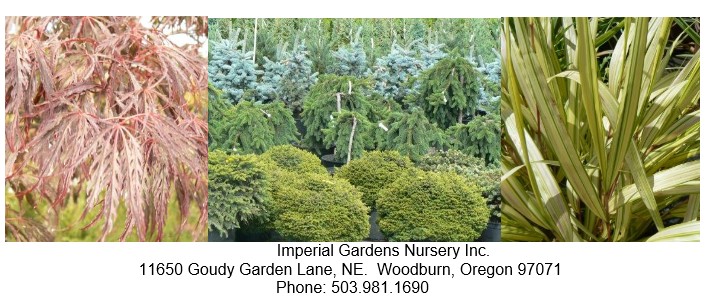Imperial Gardens Nursery Woodburn, Oegon Nursery of Choice